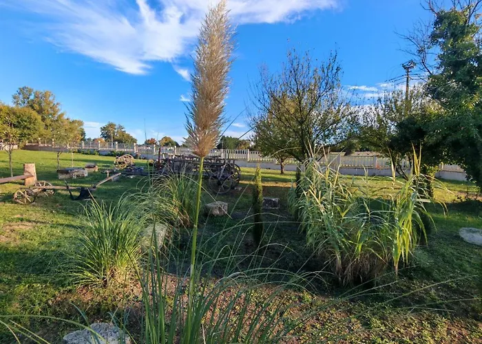 Domaine De Pagnon Gironde * Saint-Gervais (Gironde)